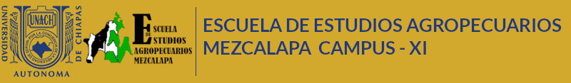 escuelamezcalapa