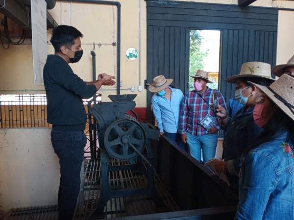 Alumnos de 4° Semestres de Ingeniero Agrónomo Visitaron el Museo Café bola de Oro en la Finca Roma de Coatepec, Veracruz.