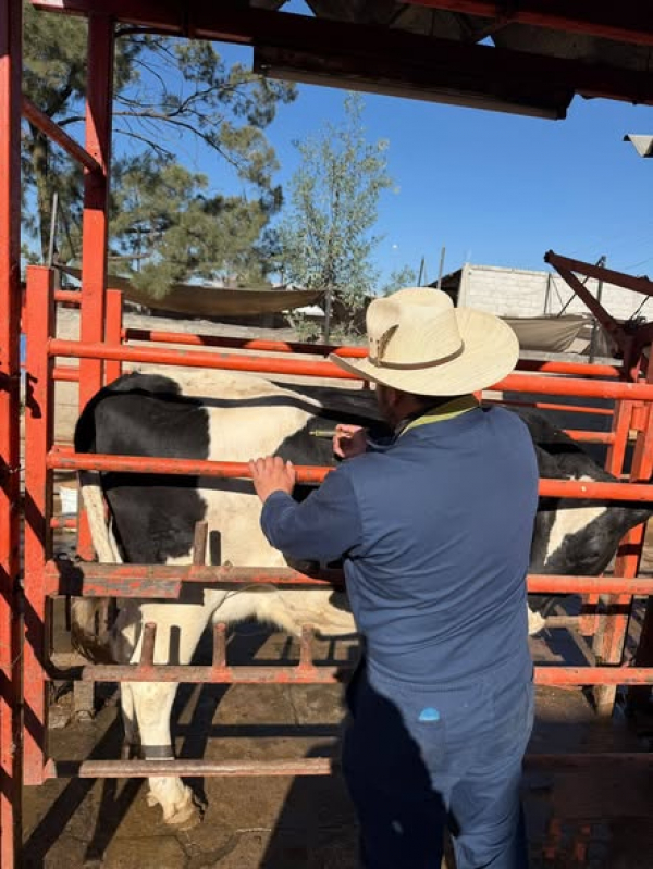Felicitamos a Carlos Fernando Murias Domínguez estudiante de la licenciatura en Medicina Veterinaria y Zootecnia que está realizando su servicio social en la cuenca lechera de Tizayuca, Hidalgo