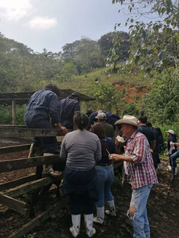 Viaje de práctica a rancho "Cuzumbac" con 18 estudiantes de la carrera de MVZ de la Escuela de Estudios Agropecuario Mezcalapa de la BUNACH Copainala
