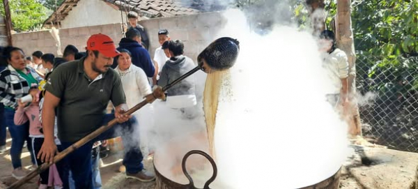 Estudiantes de las licenciaturas de Ingeniero Agrónomo y Medicina Veterinaria y Zootecnia vivieron de primera mano la experiencia de la transformación de la caña de azúcar
